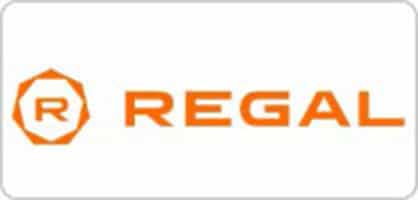 Ankara Kombi Servisi (Regal)